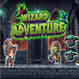 Wizard Adventure img