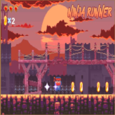 Ninja Runner The Game